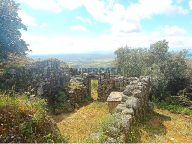 Casa venda em Castelo Branco, Idanha-a-nova