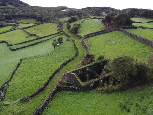 Casa venda em Açores, Ilha Do Pico