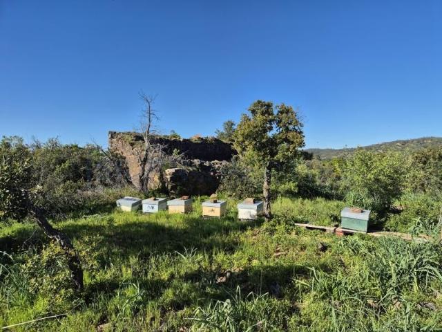 Terreno venda em Loulé, Faro