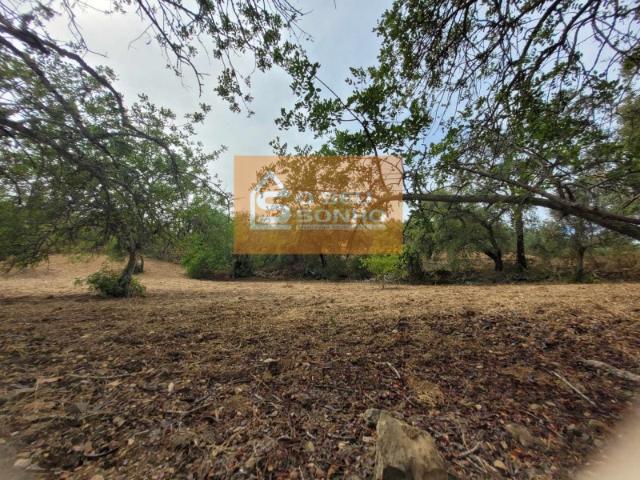 Terreno venda em São Brás De Alportel, Faro