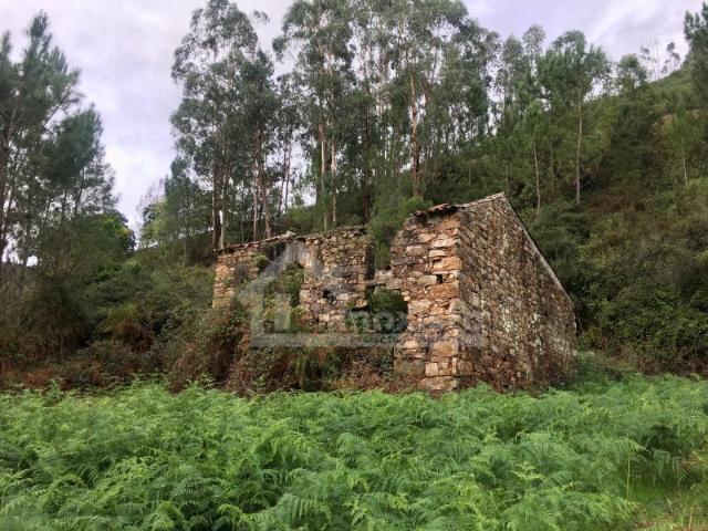 Casa venda em Figueiró Dos Vinhos, Leiria