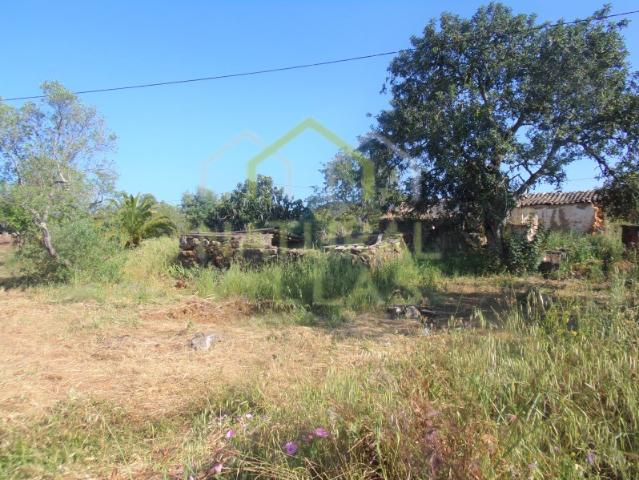 Terreno venda em Faro