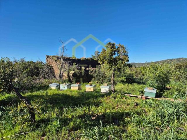 Terreno venda em Loulé, Faro