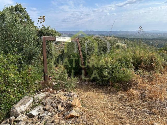 Terreno venda em Vizinhanças, Olhão