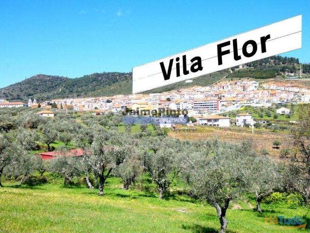 Prédio venda em Vila Flor, Bragança