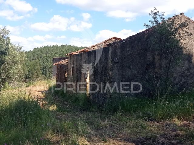 Quinta venda em Mação, Santarém