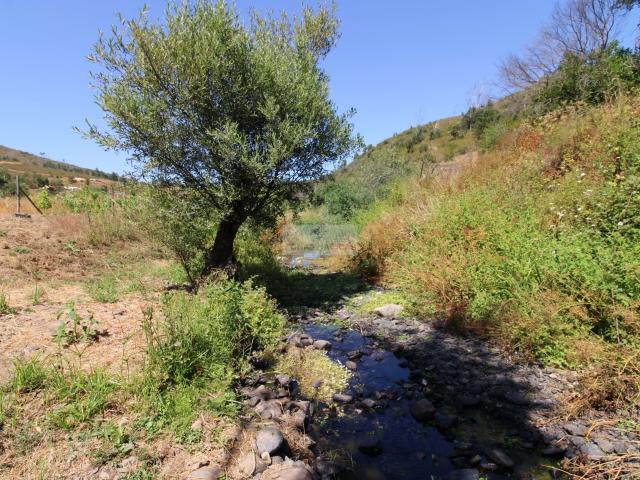 Terreno venda em Monchique, Faro