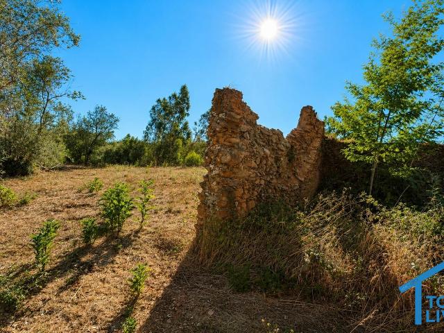 Casa venda em Colégio Nuno Álvares, Tomar