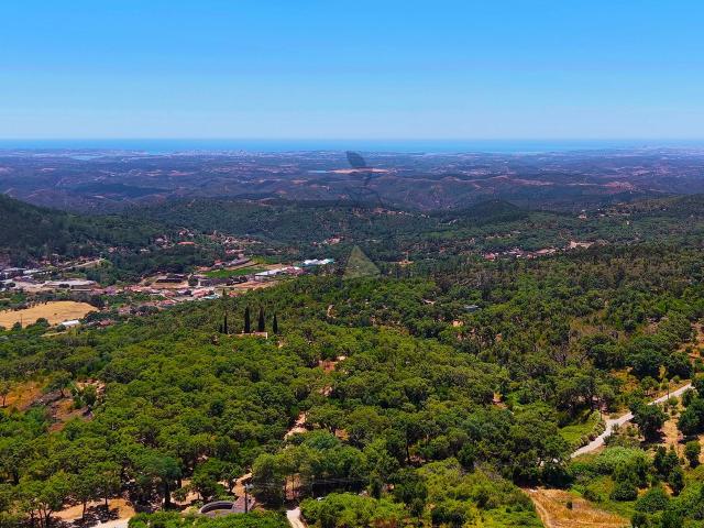 Terreno venda em Monchique, Faro