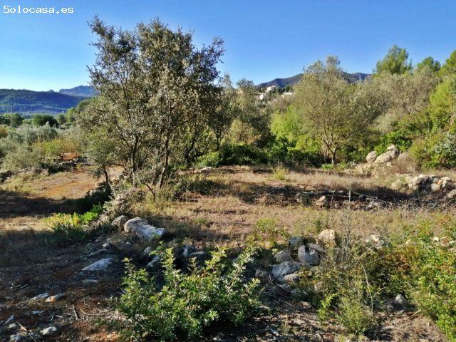 Local Comercial en venta en Alcalalí, la Llosa de Camatxo
