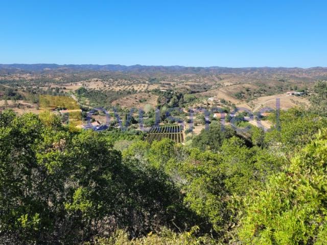 Terreno venda em São Bartolomeu De Messines, Faro