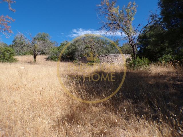 Terreno venda em Monte Seco, Loulé