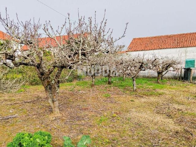 Vivenda venda em Óbidos, Leiria