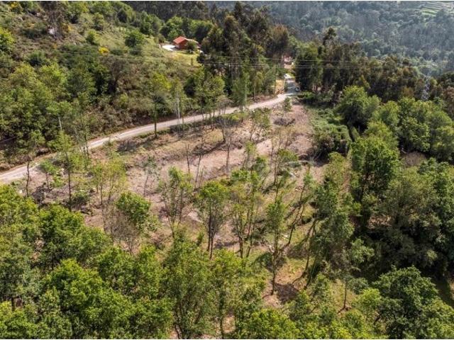 Quinta venda em Infesta, Viana Do Castelo