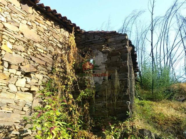Terreno venda em Castelo Branco, Cumeada