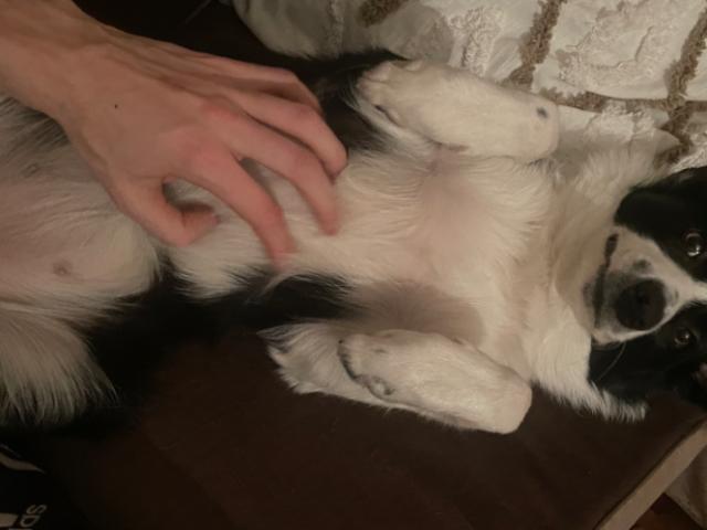 Rum hyra i Östermalm, Botkyrka