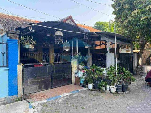 Rumah dijual di Balongbendo, Sidoarjo