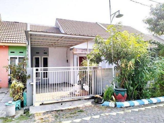 Rumah disewa di Buduran, Sidoarjo