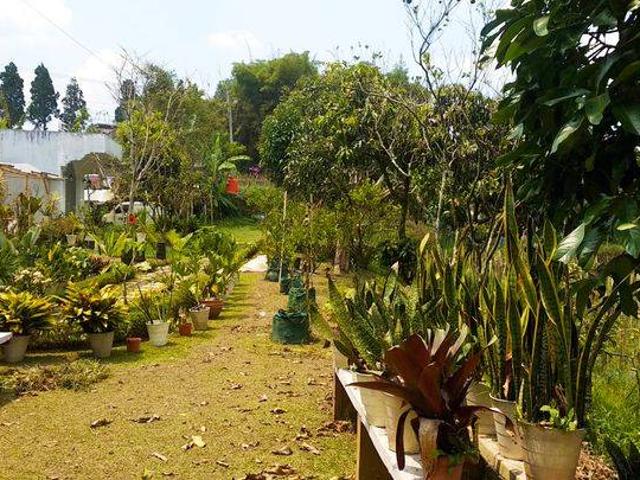 Rumah disewa di Cipanas, Cianjur