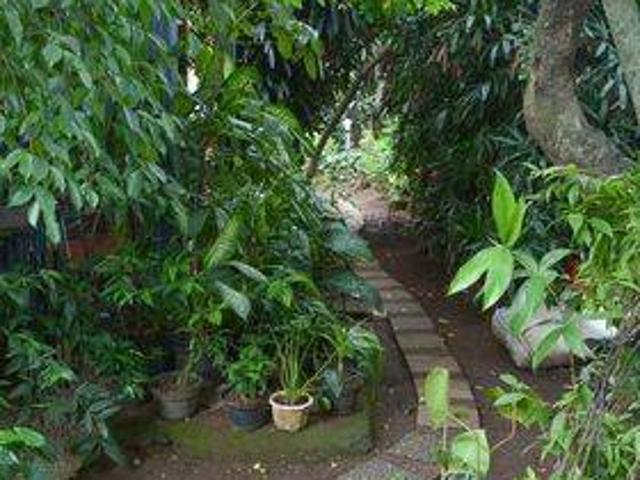 Rumah disewa di Cipayung, Jakarta Timur