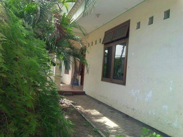 Rumah disewa di Mayangan, Probolinggo