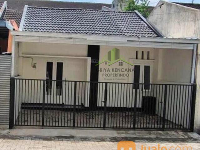 Rumah disewakan di Jember