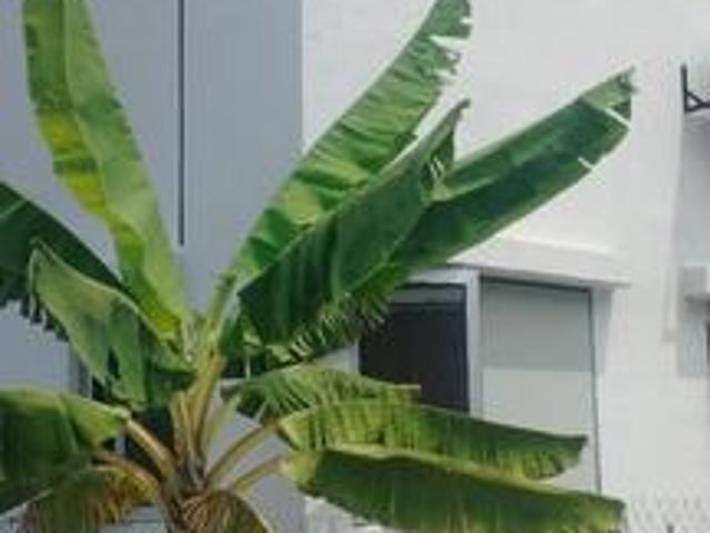 Terraced House for sale in Bandar Baru Salak Tinggi, Sepang