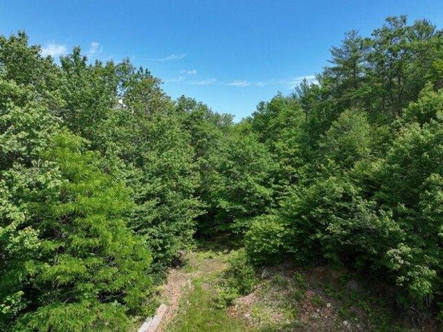 Land for sale in South Rumford, Rumford