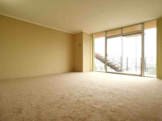Apartment for rent in Elmwood, Berkeley