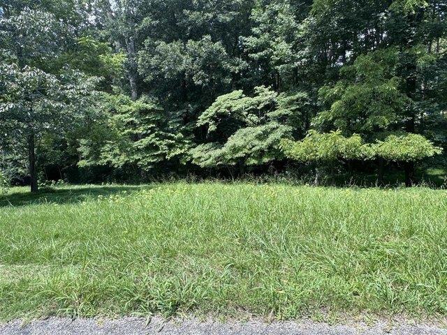 Land for sale in Fountain Run, Kentucky