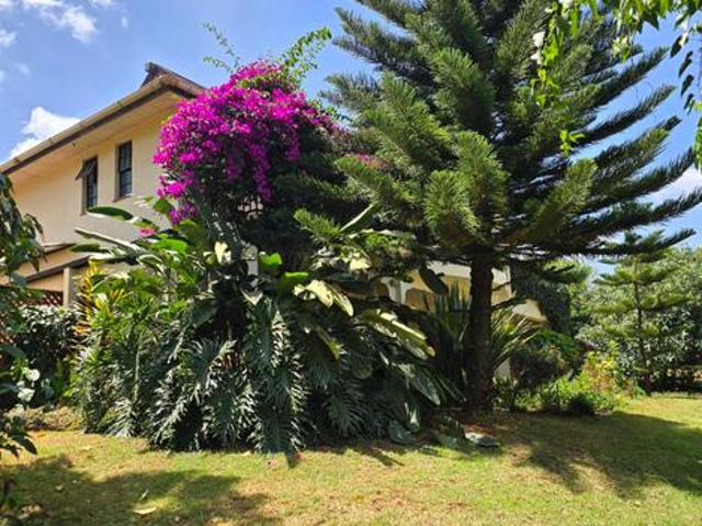 House for rent in Runda, Westlands