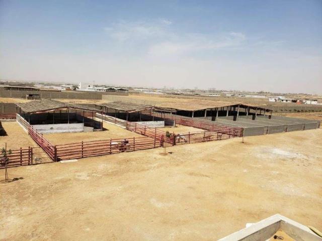 Land for sale in North Waziristan, Federally Administered Tribal Areas fata
