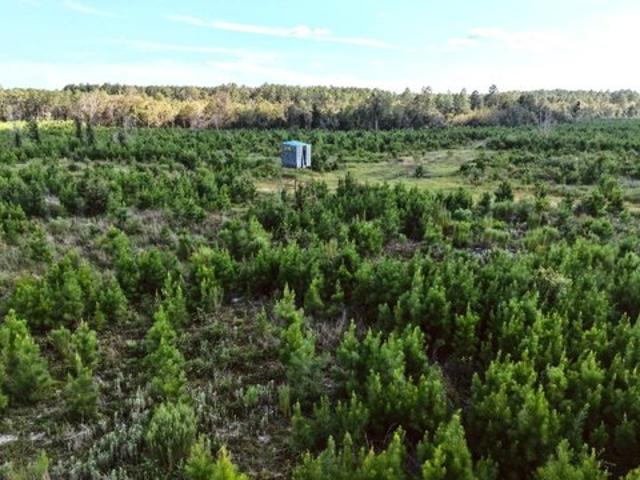 Land for sale in Screven, Georgia