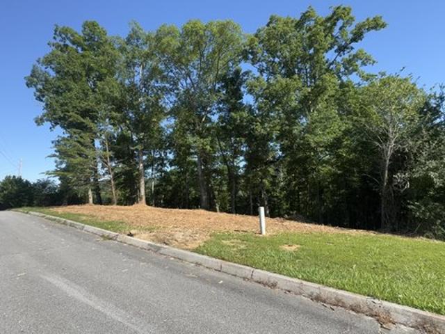 Land for sale in Tennessee