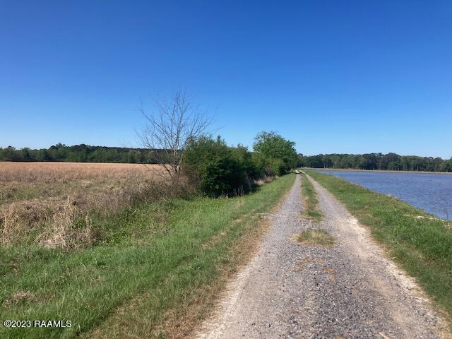 Land for sale in Iota, Louisiana