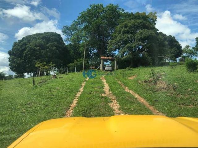 Sítio e chácara venda em Santa Luzia, Região Geográfica Intermediária de Belo Horizonte