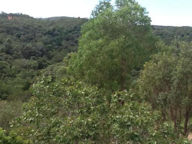 Sítio e chácara venda em Santa Luzia, Jardim Felicidade