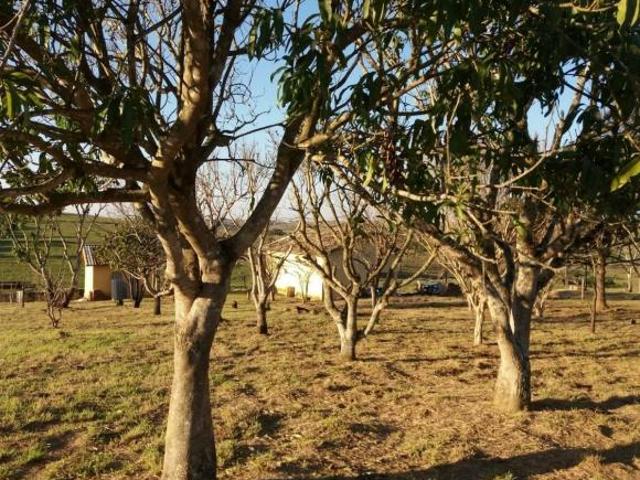 Sítio e chácara venda em Região Geográfica Imediata de Santa Rosa, Tucunduva