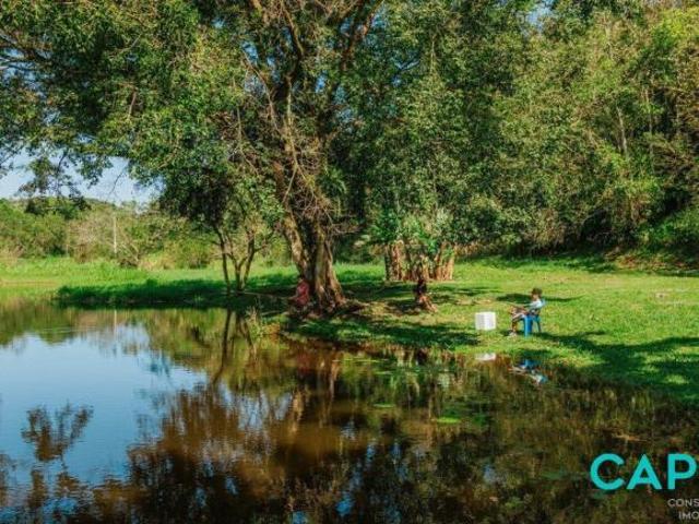 Sítio e chácara venda em Região Geográfica Imediata de Paranaguá, Antonina