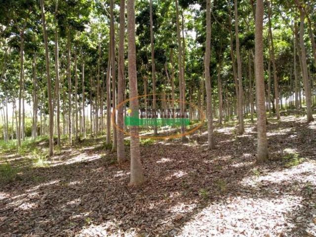 Sítio e chácara venda em Araçuaí, Região Sudeste