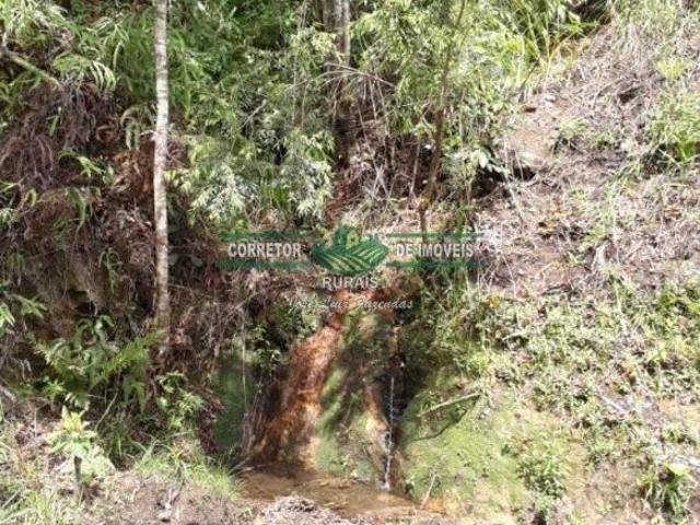 Sítio e chácara venda em Região Geográfica Imediata de Juiz de Fora, Arantina