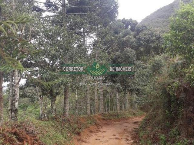 Sítio e chácara venda em Região Geográfica Imediata de Juiz de Fora, Arantina