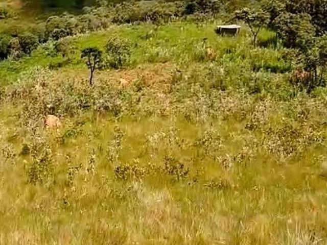 Sítio e chácara venda em Região Geográfica Imediata de Juiz de Fora, Arantina