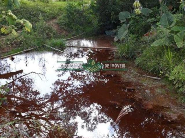Sítio e chácara venda em Região Geográfica Imediata de Juiz de Fora, Arantina