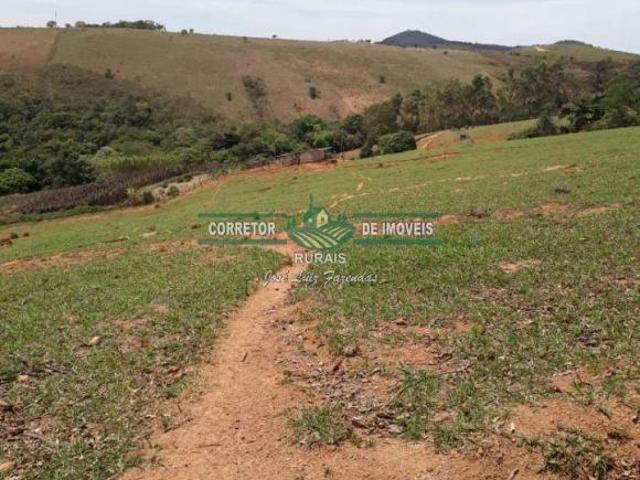 Sítio e chácara venda em Região Geográfica Imediata de Juiz de Fora, Arantina