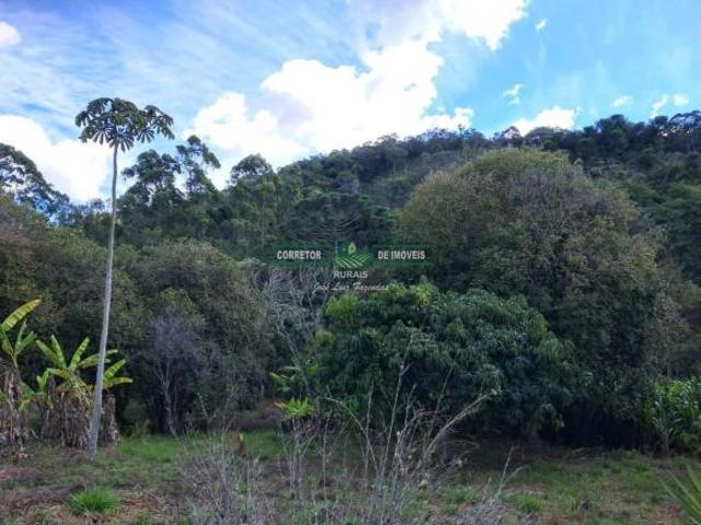 Sítio e chácara venda em Região Geográfica Imediata de Juiz de Fora, Arantina