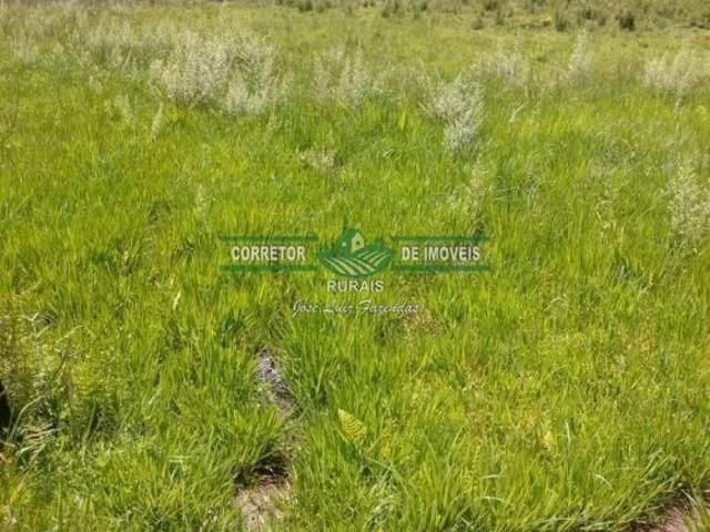 Sítio e chácara venda em Região Geográfica Imediata de Juiz de Fora, Arantina