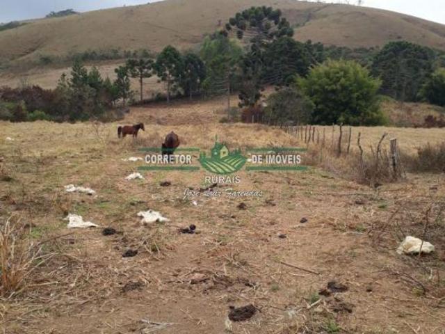 Sítio e chácara venda em Região Geográfica Imediata de Juiz de Fora, Arantina