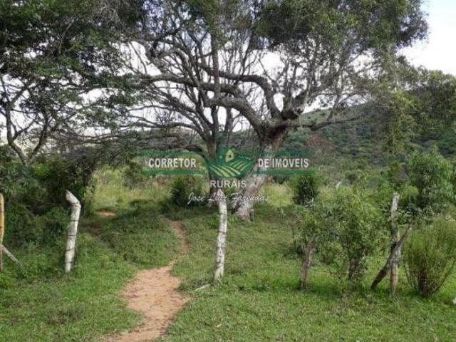 Sítio e chácara venda em Região Geográfica Imediata de Juiz de Fora, Arantina