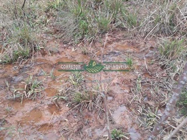 Sítio e chácara venda em Região Geográfica Imediata de Juiz de Fora, Arantina
